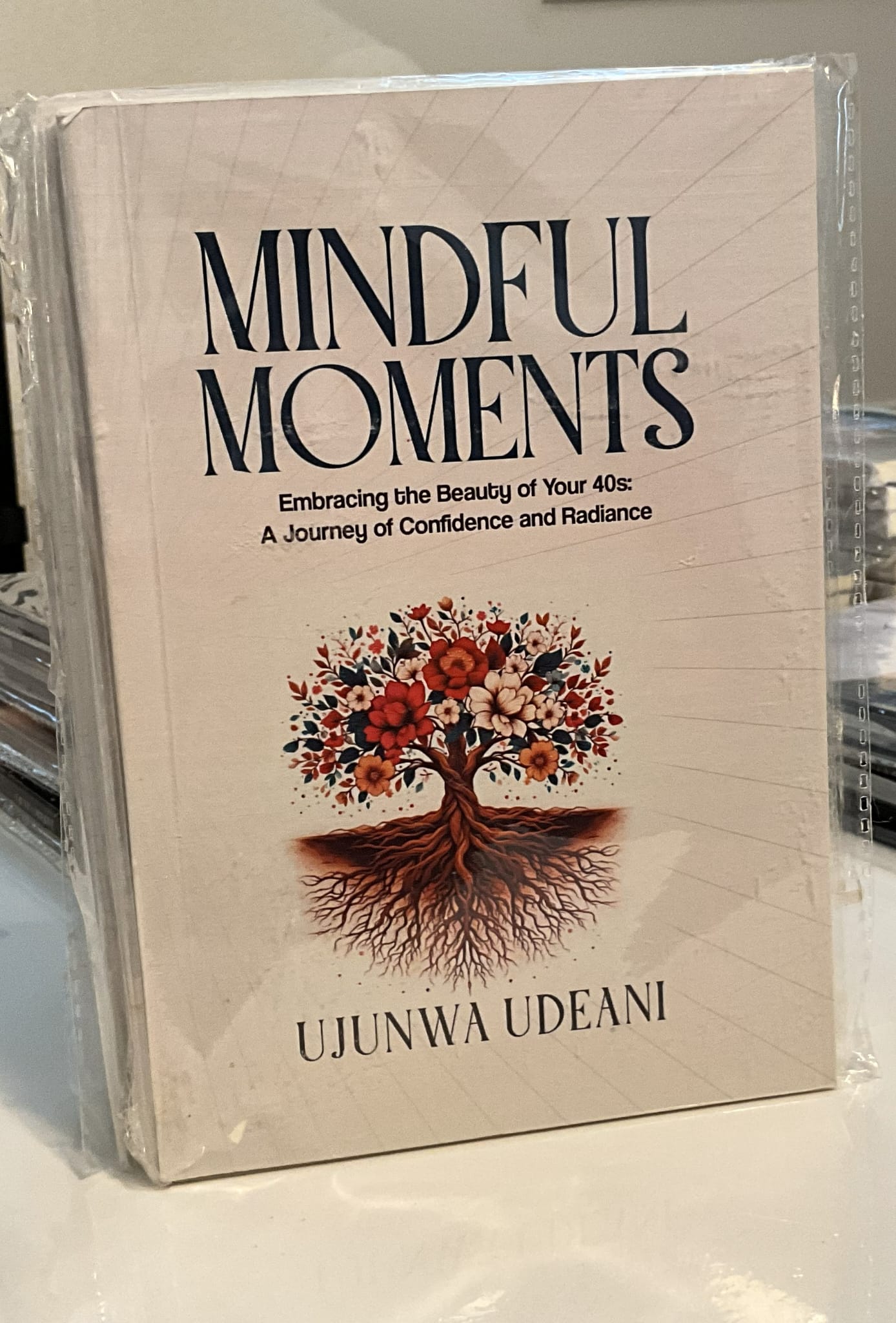 MINDFUL MOMENTS